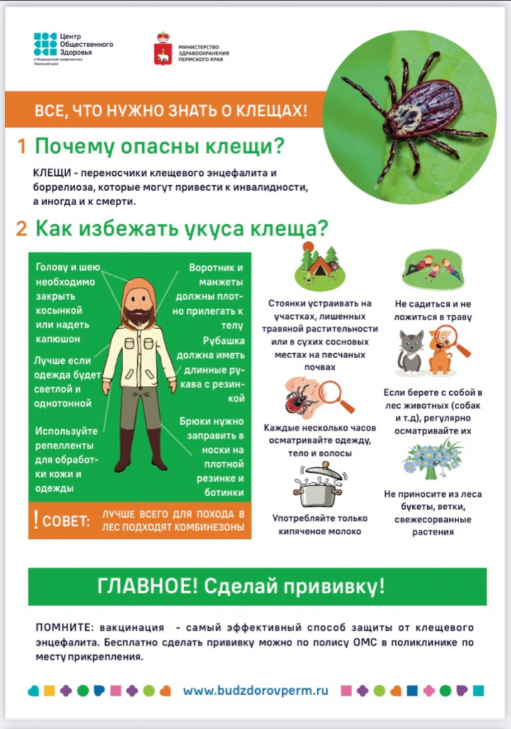 клещи.jpg