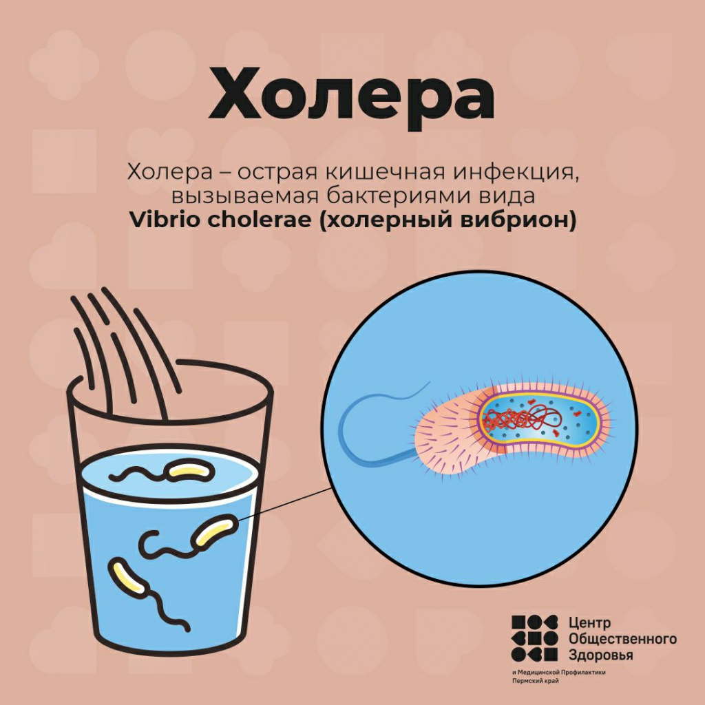holera1.jpg holera1.jpg