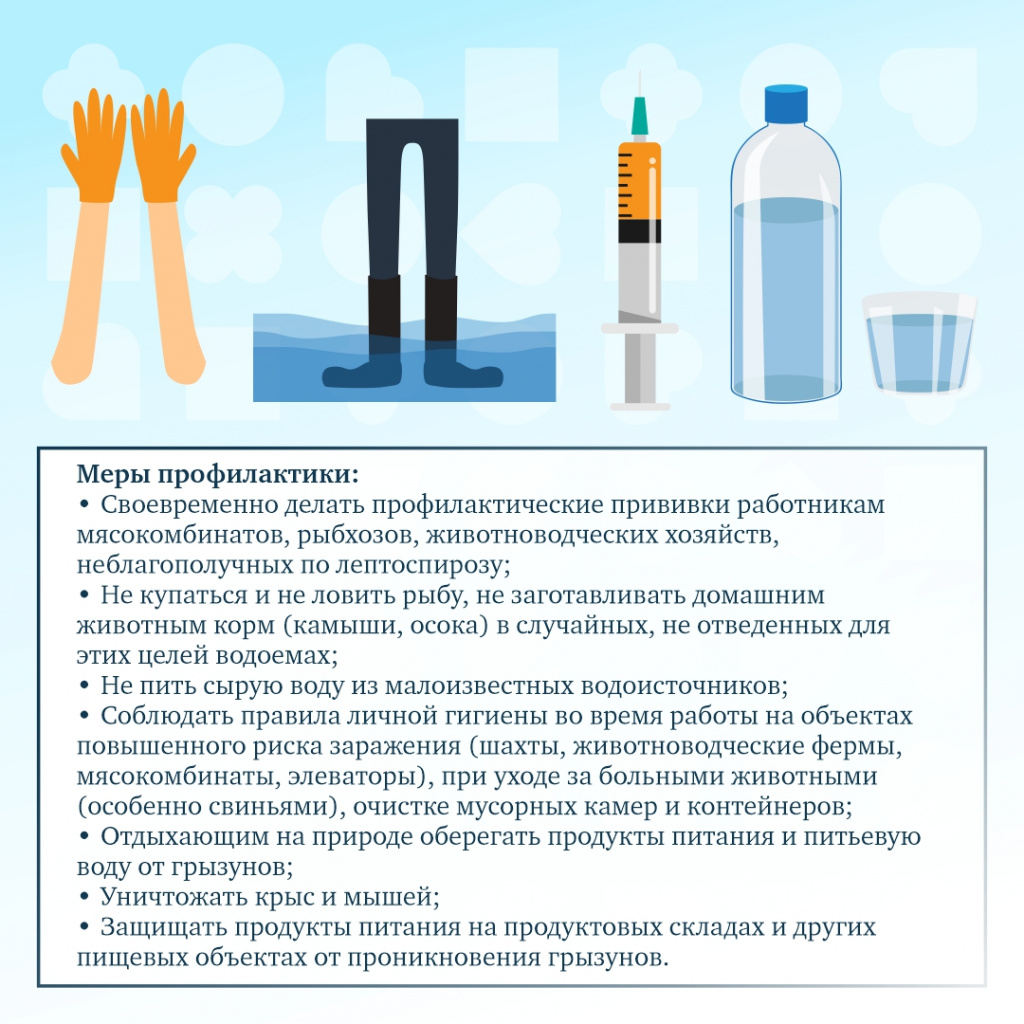 Leptospiros_05.jpg Leptospiros_05.jpg