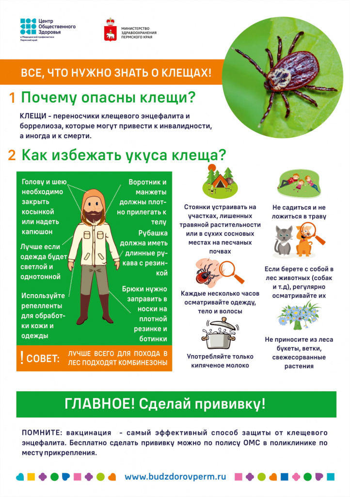 kleschi_A5-11.jpg